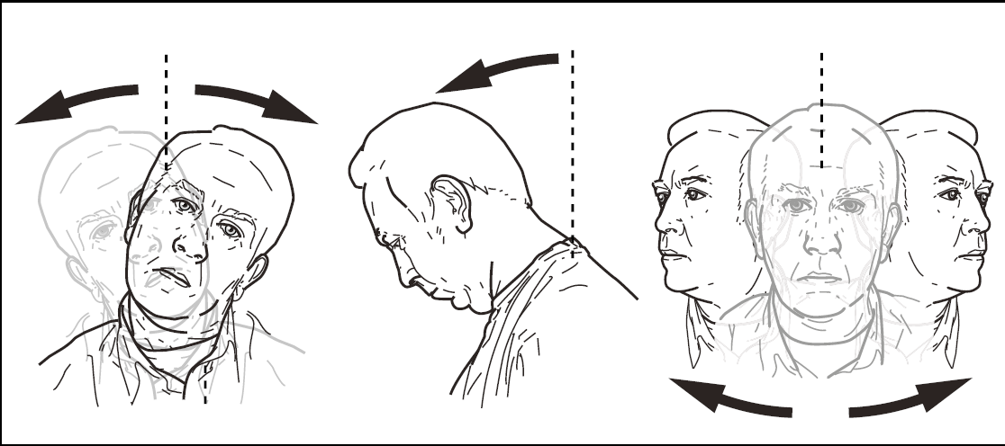 ART C1 head and neck posture illustration